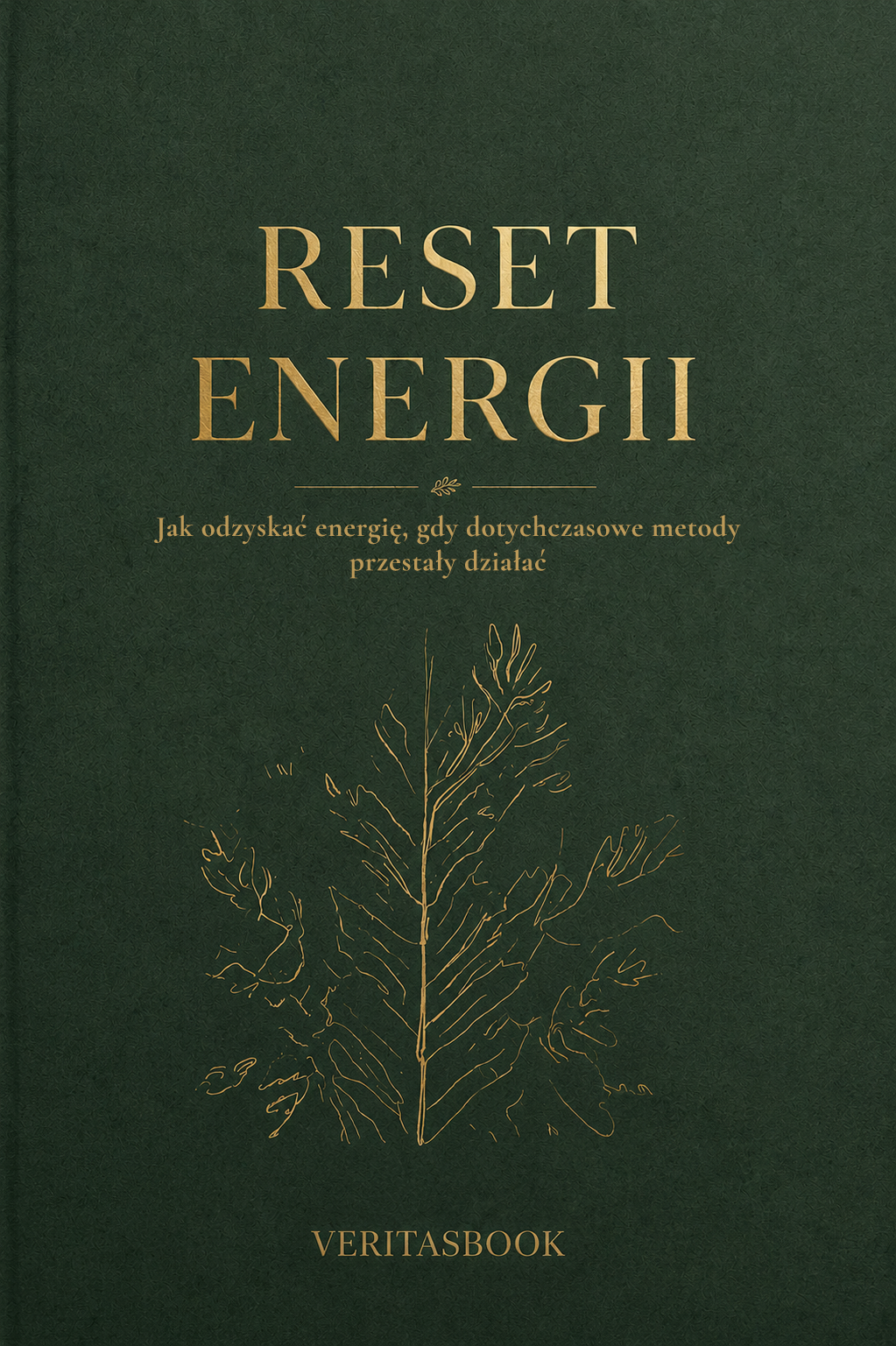Reset Energii